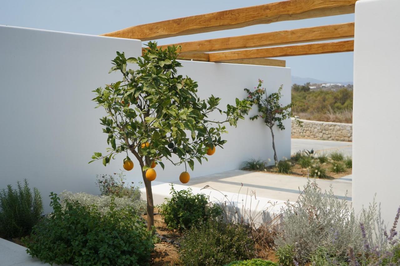 Appartamento Alio Naxos Agios Georgios  Esterno foto