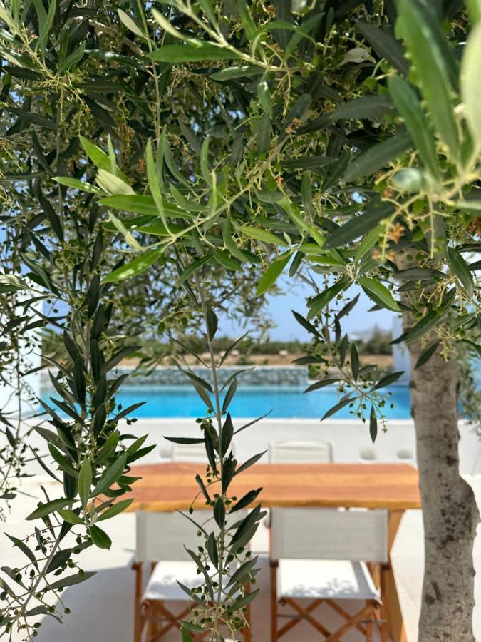 Appartamento Alio Naxos Agios Georgios  Esterno foto