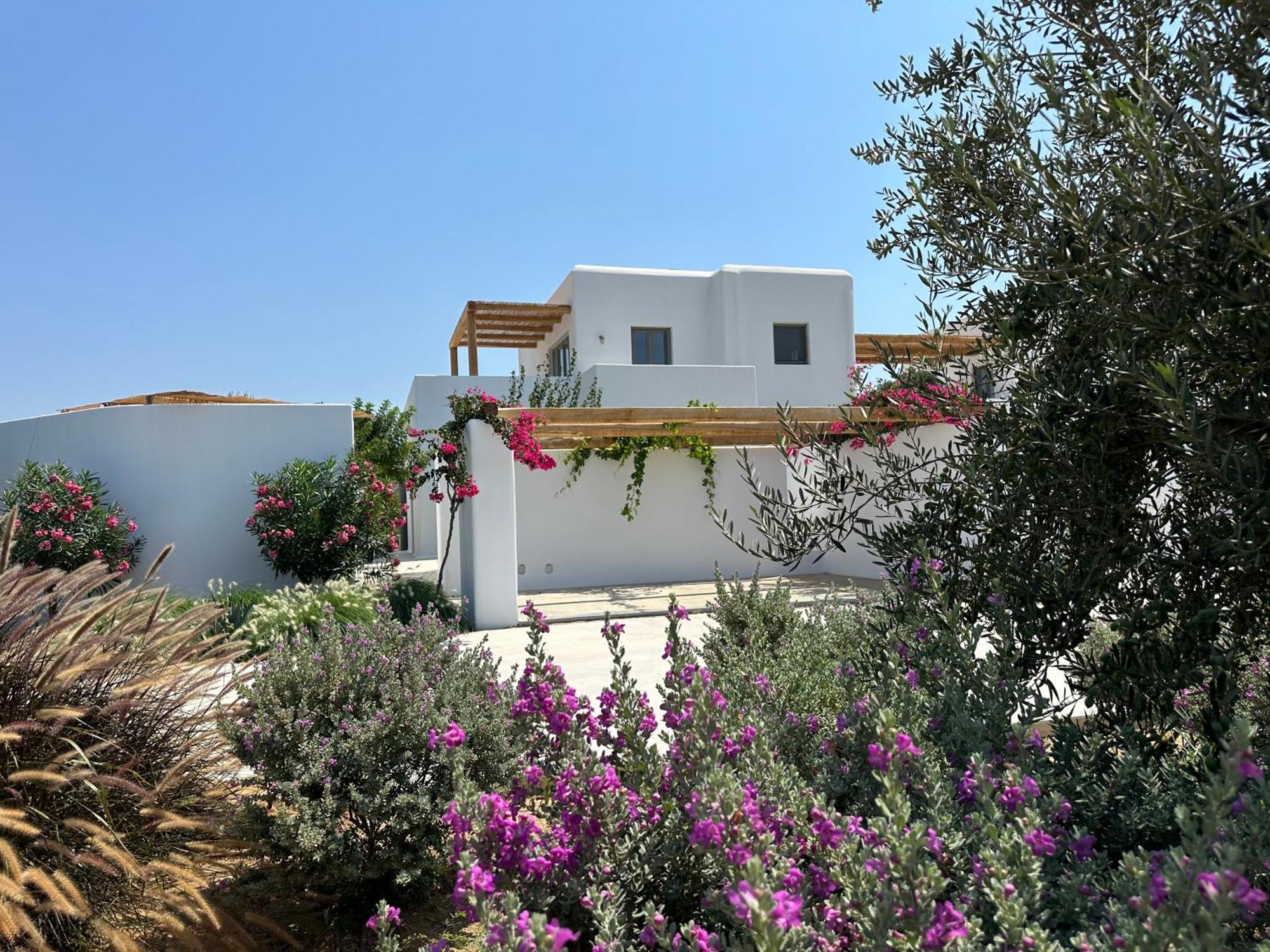 Appartamento Alio Naxos Agios Georgios  Esterno foto