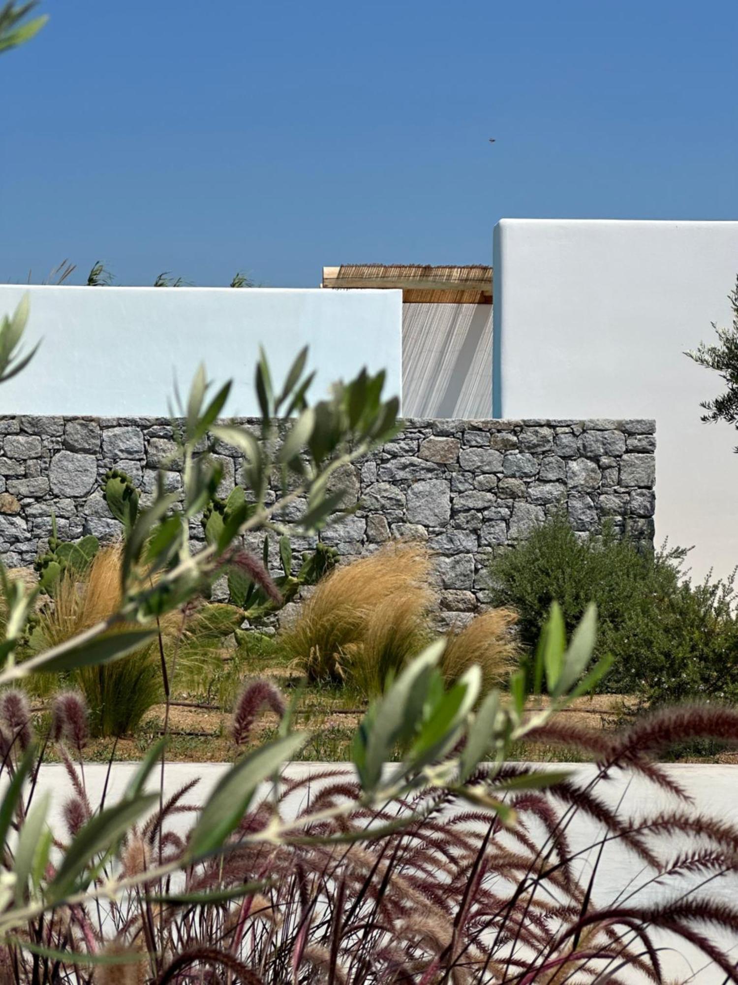 Appartamento Alio Naxos Agios Georgios  Esterno foto