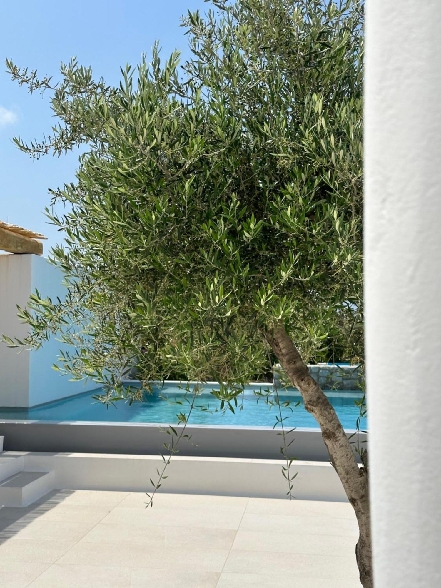 Appartamento Alio Naxos Agios Georgios  Esterno foto