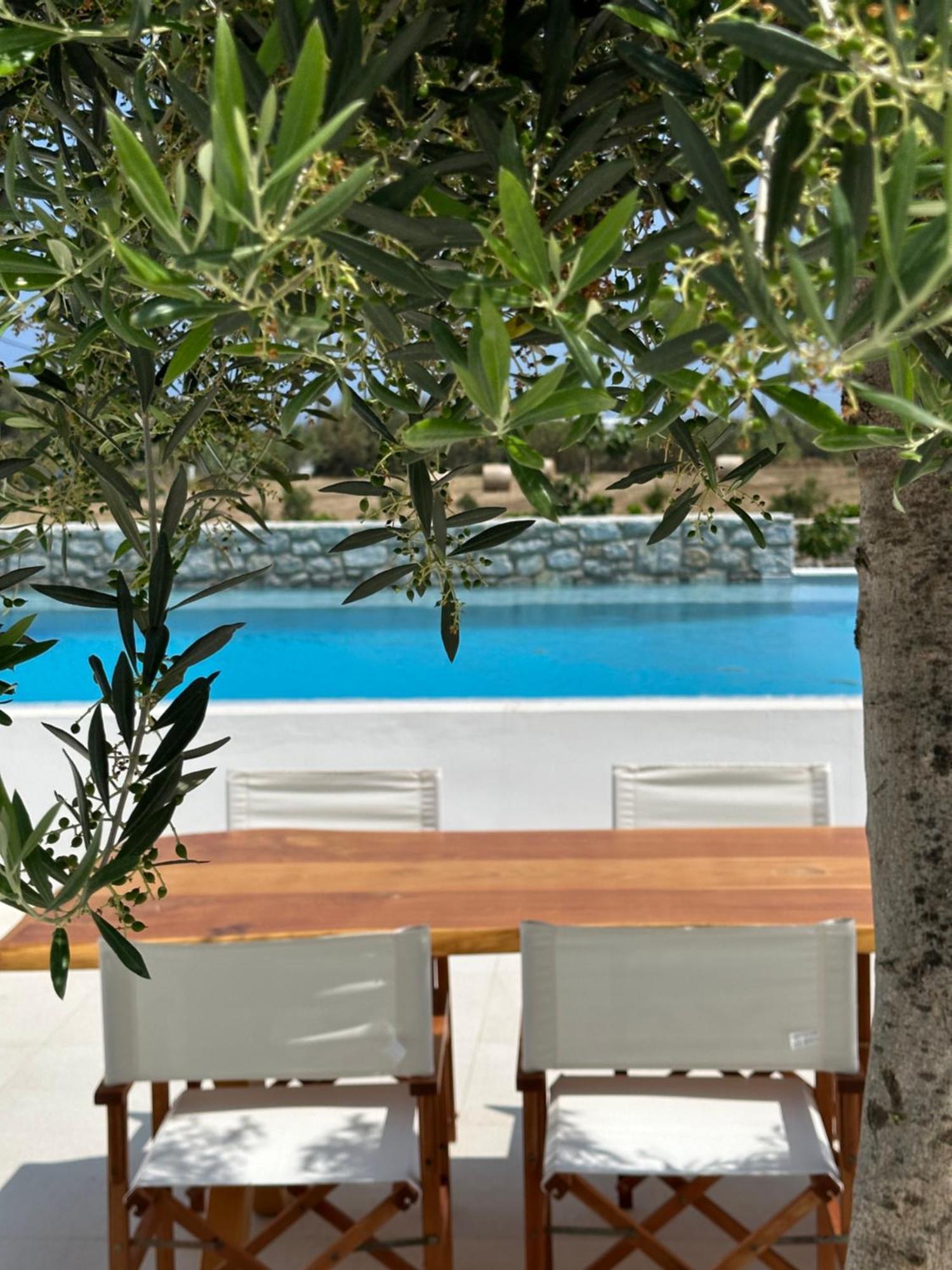 Appartamento Alio Naxos Agios Georgios  Esterno foto